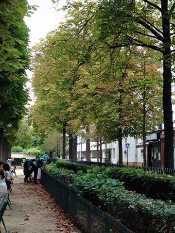 ママと一緒☆公園お掃除画像