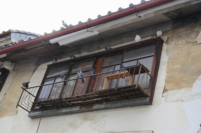 丘の上は静かだなあ。画像