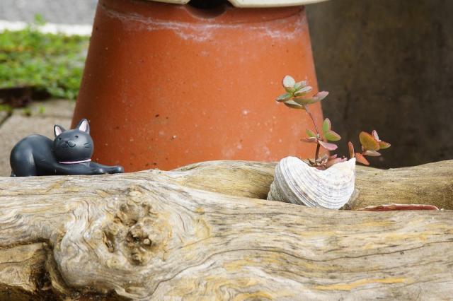 秋晴れ、涼しい中での活動画像