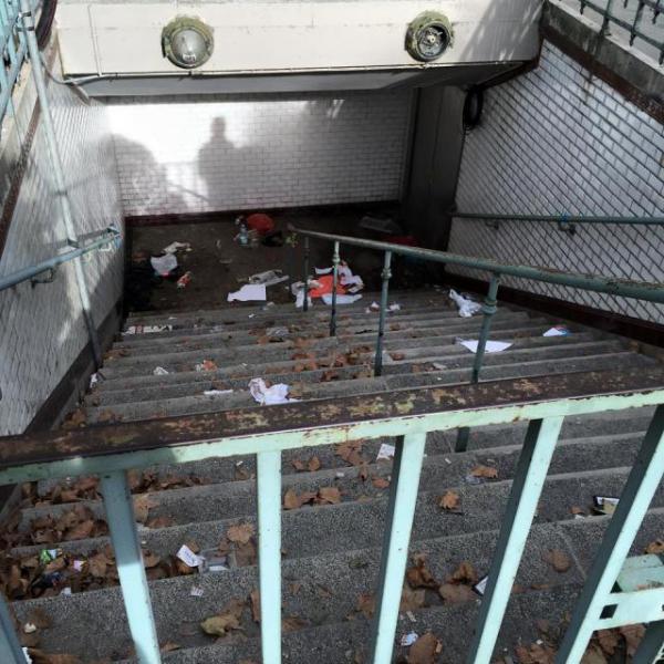 さらに増えて画像