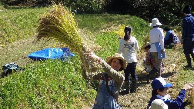 気持ち良い〜。画像