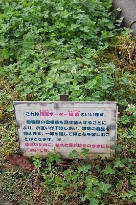 羽場地区の方は素敵だ〜。画像