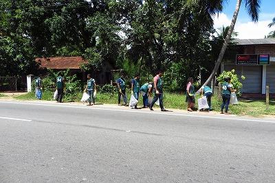 雨、あめ、アメ、AME、雨季全開・・・・・（11月13日）画像