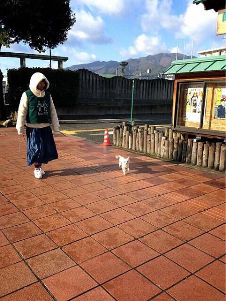 2015★last グリーンバード画像