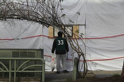 ありがとうございます。いつもよりピカピカな街。画像