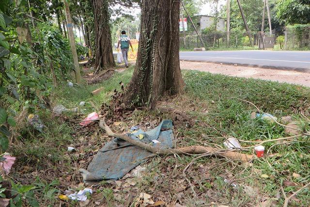 乾季になって歓喜！心の中を換気するのを喚起！画像