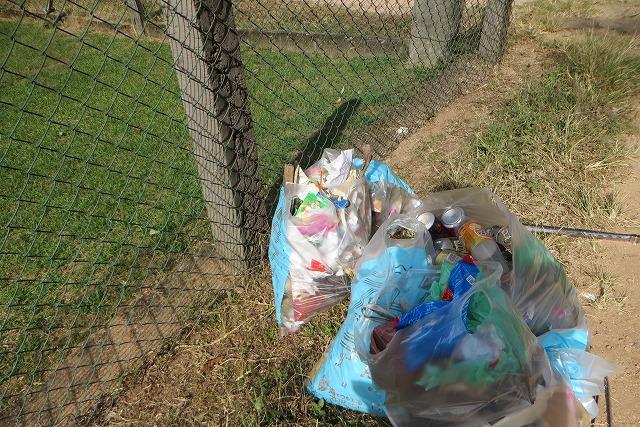 日本=大雪、スリランカ=大晴天(1月24日)・・・・・画像