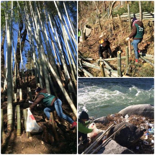 こんなにゴミを拾うとは、、画像