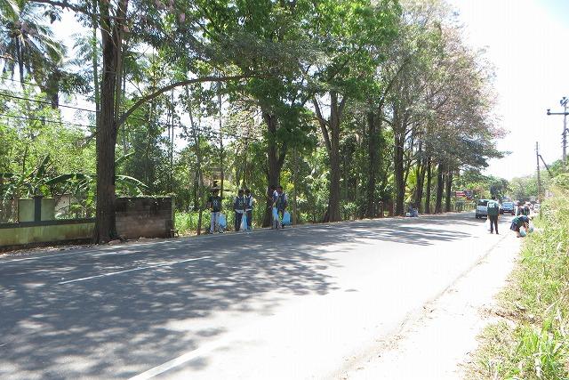 快晴！快晴！！大快晴！！！(3月11日)画像