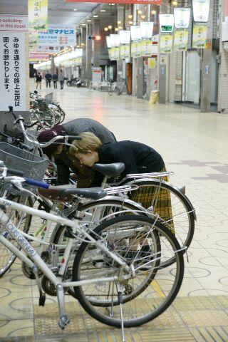 姫路SUNSUNSUNDAYお掃除画像