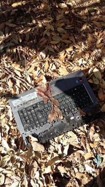 今日は公園の外で！Parco Villa Sabucchi画像