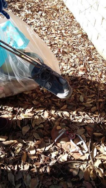 今日は公園の外で！Parco Villa Sabucchi画像