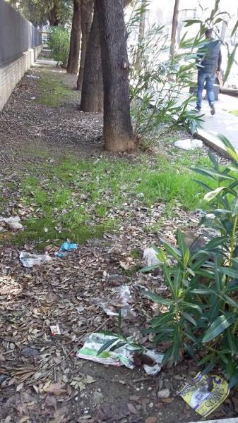 今日は公園の外で！Parco Villa Sabucchi画像