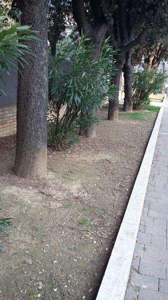 今日は公園の外で！Parco Villa Sabucchi画像