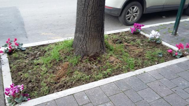 今日は公園の外で！Parco Villa Sabucchi画像