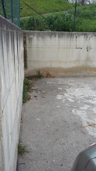 4月ですね！画像