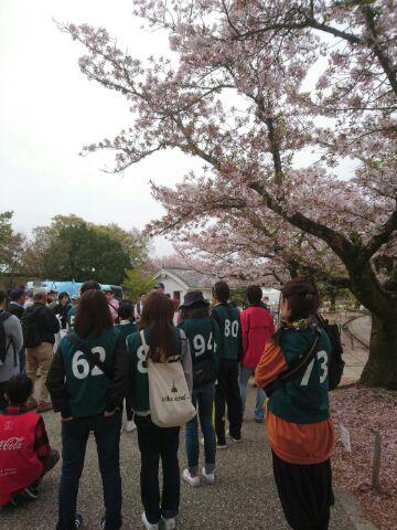 姫路城おしろのお掃除会に参加バード画像