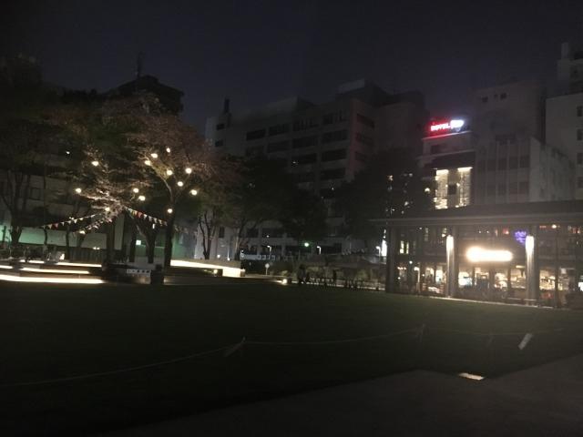 たまには・・・画像