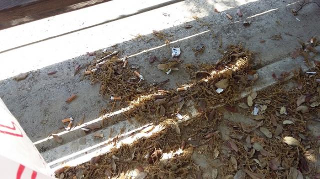 Parco Florida フロリダ公園画像