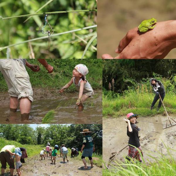 拾う&rarr;植える！画像