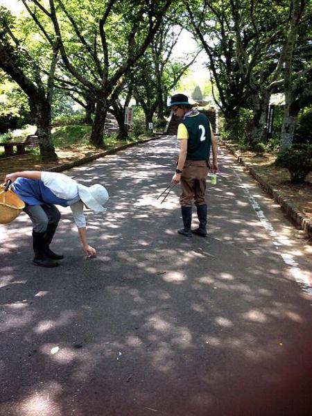 拾う&rarr;植える！画像
