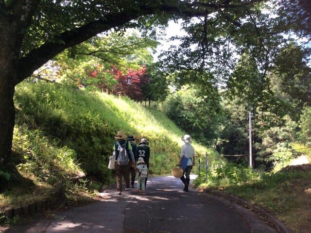 拾う&rarr;植える！画像