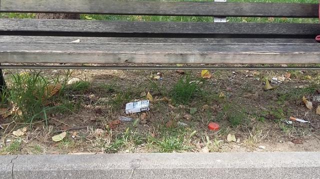 Parco Delle Meraviglie 今週は晴れました〜画像