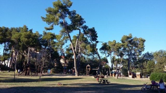 Parco D'avalos.2か月ぶりの活動です。画像