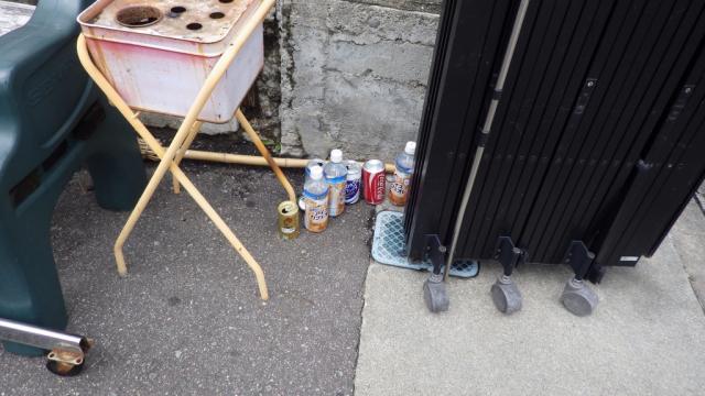 定例は。涼しくて素敵。画像