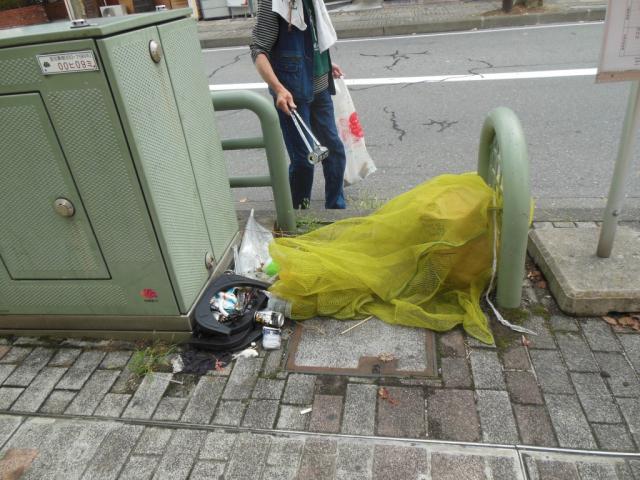 定例は。涼しくて素敵。画像