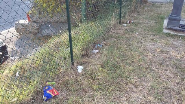 Parco Pietro Pacca 9月ですね。画像