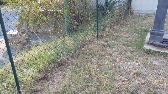 Parco Pietro Pacca 9月ですね。画像