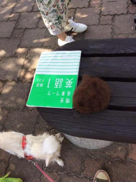 まだまだ暑いよ！丘の上＊画像