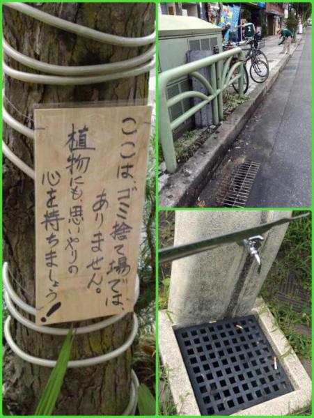 まだまだ暑いよ！丘の上＊画像