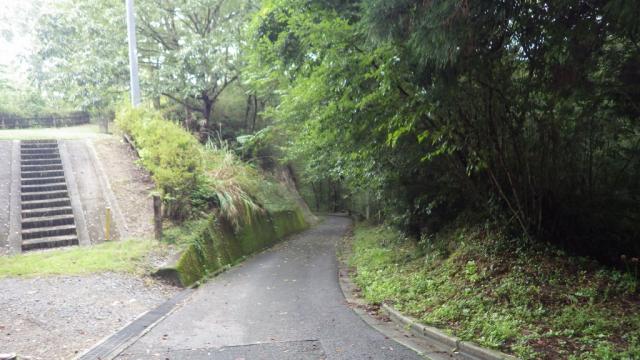 七色百田　その1画像