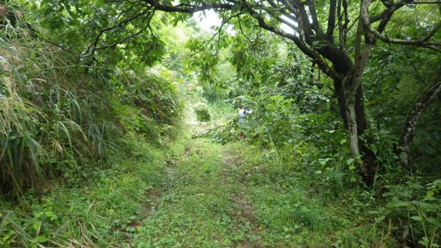 七色百田　その1画像