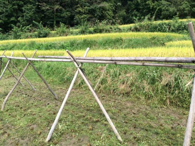 七色百田 その2画像