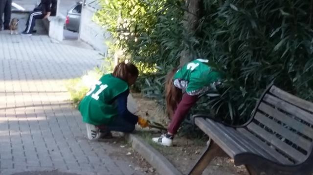 Parco Delle Meraviglie ちびっ子バードが沢山！画像