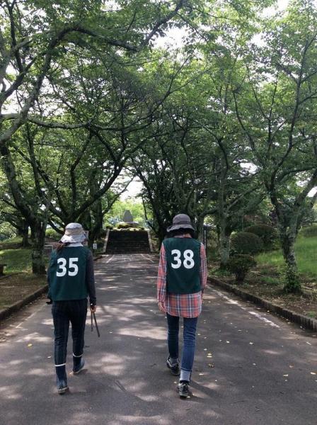 拾う。草を拾う。画像