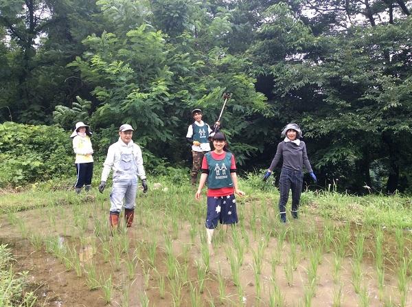 拾う。草を拾う。画像