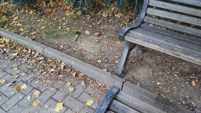 Parco delle Meraviglie. 寒くなりましたね。画像