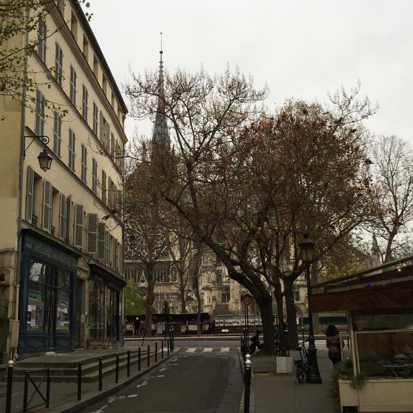 Thanksgivingおそうじ！画像