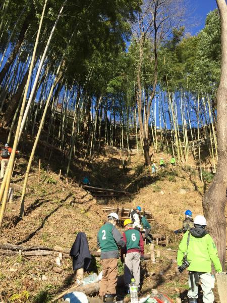 鵞流狭バード画像