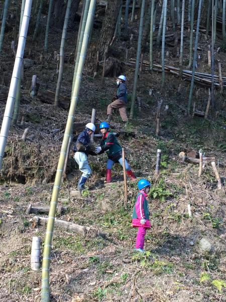 鵞流狭バード画像