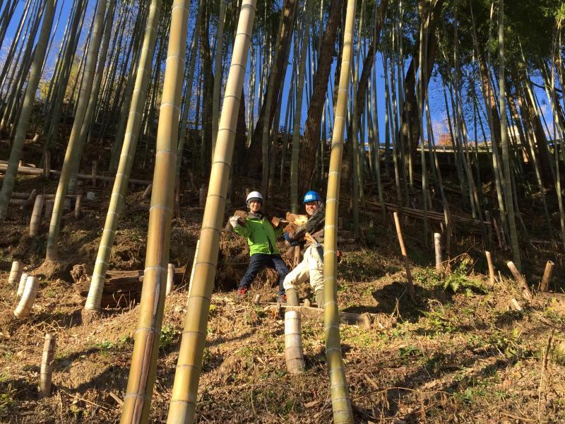 鵞流狭バード画像