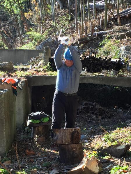 鵞流狭バード画像