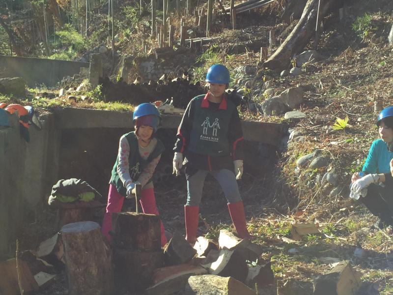 鵞流狭バード画像