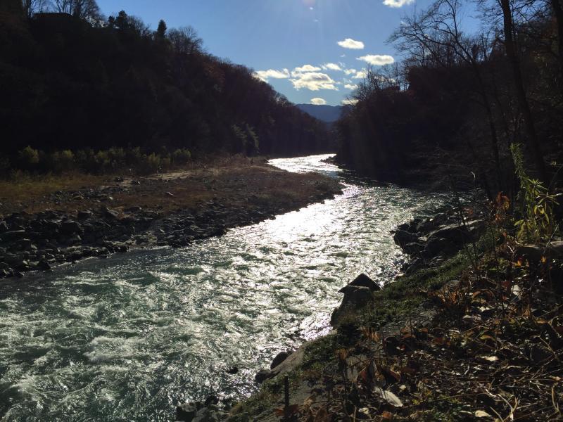 鵞流狭バード画像