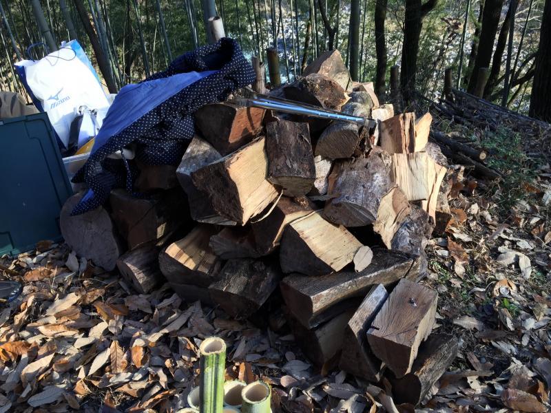 鵞流狭バード画像