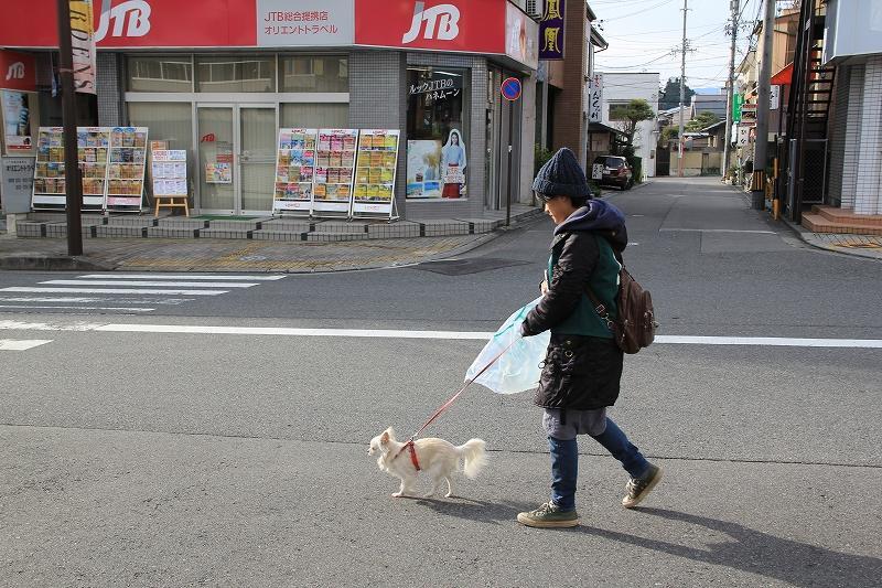 ありがとう。らいねんもよろしく。画像